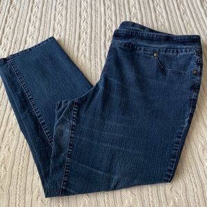 Signature Slimming by CJ Banks, denim jeans, size 22W